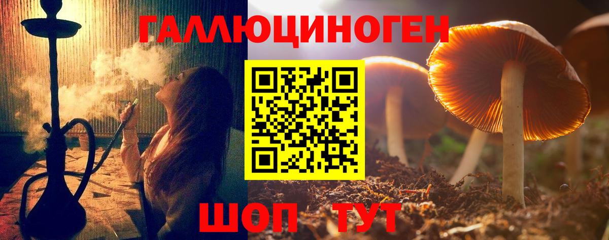 Галлюциногенные грибы мицелий Гусь-Хрустальный
