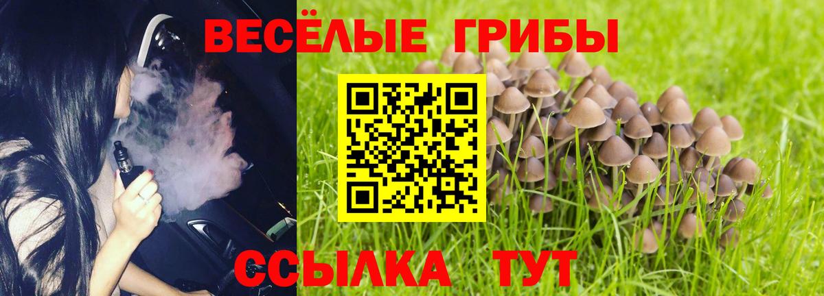 Галлюциногенные грибы Magic Shrooms  Вход с VPN  Гусь-Хрустальный 